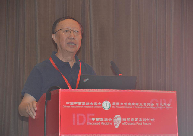 我院杨博华教授、章新根主任出席第5届中西医结合糖尿病足高峰论坛(图11)